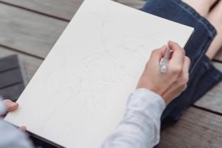 Fan art et droit d'auteur : où s'arrête la tolérance, où commence la contrefaçon